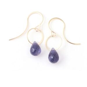Melissa Joy Manning - Single Drop Earrings with Iolite